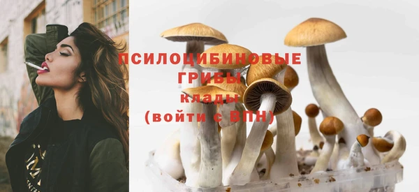 СК Володарск