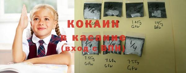 сатива Верхний Тагил