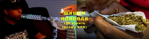 сатива Верхний Тагил