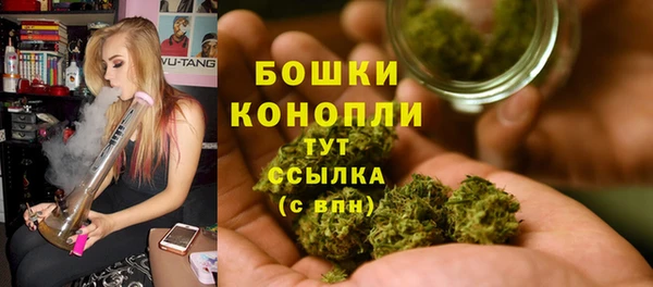шишки Волоколамск